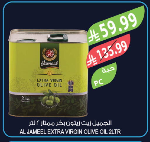 available at Farm  in KSA, Saudi Arabia, Saudi - Al-Kharj