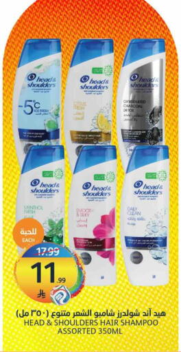 available at أسواق الجزيرة in مملكة العربية السعودية, السعودية, سعودية - الرياض