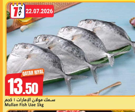 available at دانة هايبرماركت in قطر - الوكرة