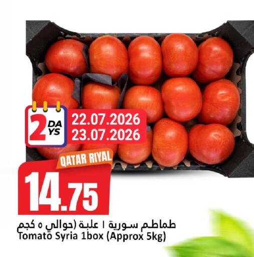 Tomato from Qatar Syria available at دانة هايبرماركت in قطر - الضعاين