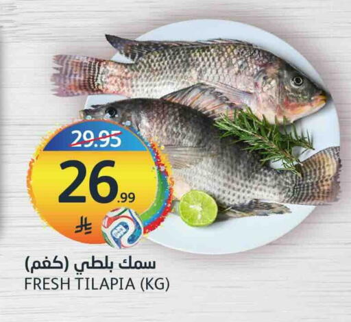 available at أسواق الجزيرة in مملكة العربية السعودية, السعودية, سعودية - الرياض