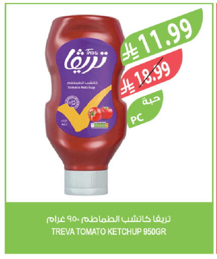 Tomato available at Farm  in KSA, Saudi Arabia, Saudi - Al-Kharj