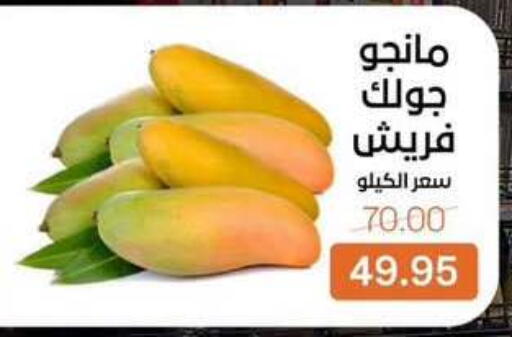 available at Beit El Gomla in Egypt - Cairo