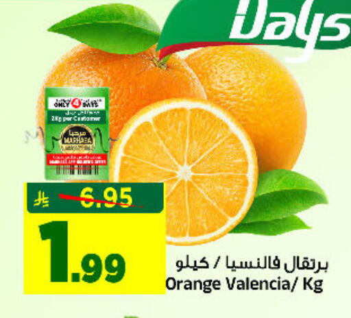 Orange available at المدينة هايبرماركت in مملكة العربية السعودية, السعودية, سعودية - الرياض