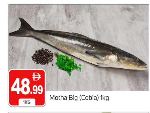 available at سوق طلال in الإمارات العربية المتحدة , الامارات - دبي