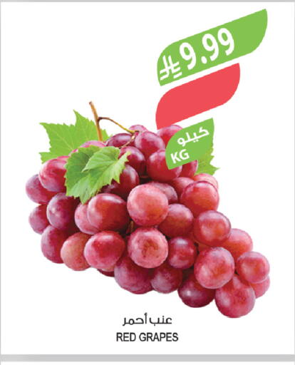 Grapes available at Farm  in KSA, Saudi Arabia, Saudi - Dammam
