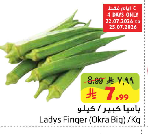 Okra available at Layan Hyper in KSA, Saudi Arabia, Saudi - Dammam