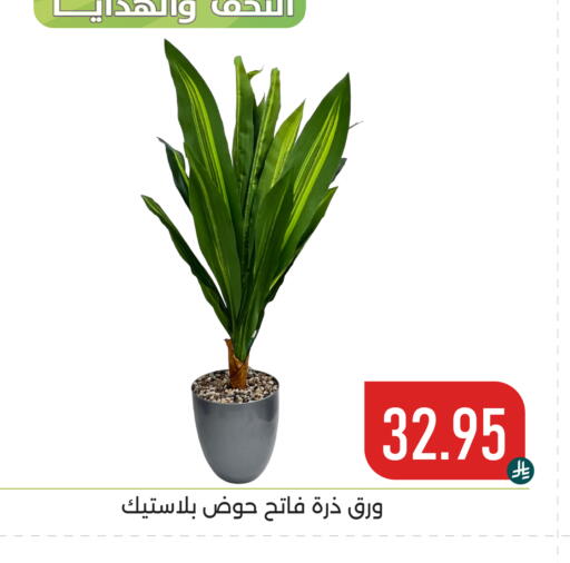 available at تخفيضات العائلة in مملكة العربية السعودية, السعودية, سعودية - المنطقة الشرقية