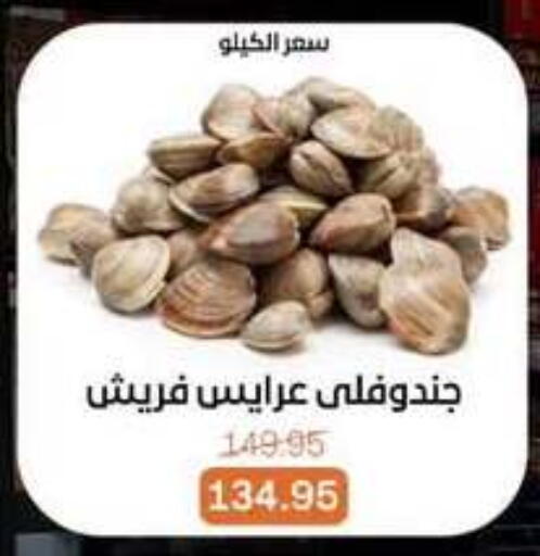 available at Beit El Gomla in Egypt - Cairo