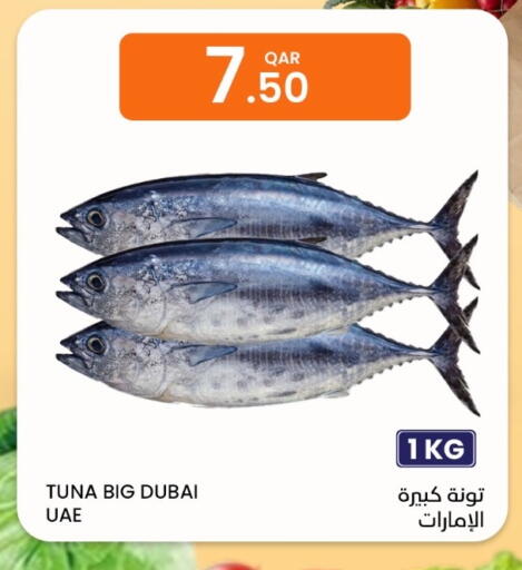 available at البلدي اليوم in قطر - الوكرة