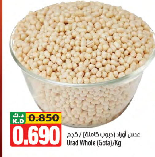 Mango available at Mango Hypermarket  in Kuwait - Kuwait City