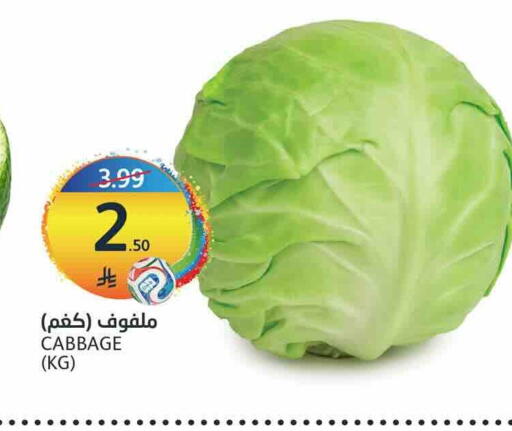 Cabbage available at أسواق الجزيرة in مملكة العربية السعودية, السعودية, سعودية - الرياض