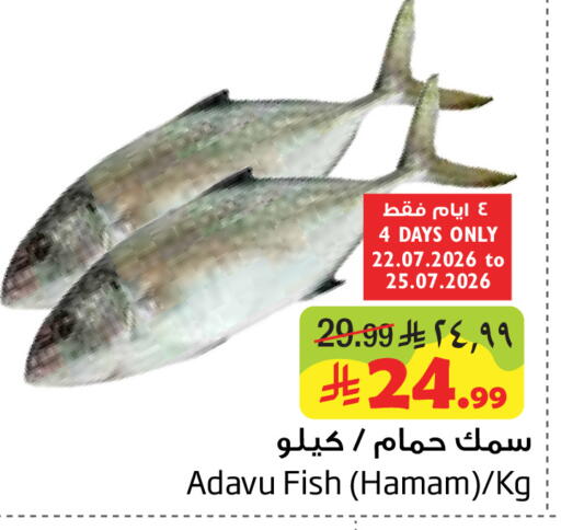 available at ليان هايبر in مملكة العربية السعودية, السعودية, سعودية - الخبر‎