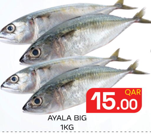 available at مجلس هايبرماركت in قطر - الريان