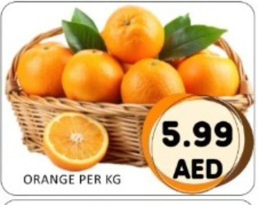 Orange available at GREEN GIFT DEPARTMENT STORE in UAE - Abu Dhabi
