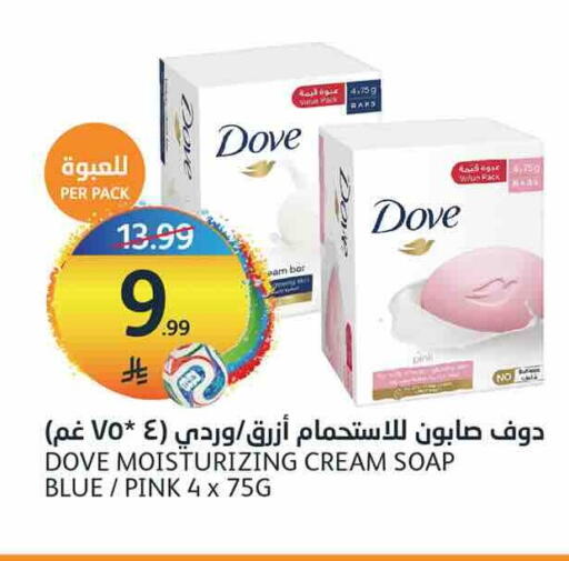 available at أسواق الجزيرة in مملكة العربية السعودية, السعودية, سعودية - الرياض