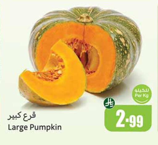 Pumpkin available at Othaim Markets in KSA, Saudi Arabia, Saudi - Dammam