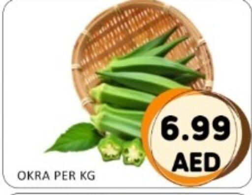 Okra available at GREEN GIFT DEPARTMENT STORE in UAE - Abu Dhabi
