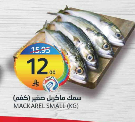 available at أسواق الجزيرة in مملكة العربية السعودية, السعودية, سعودية - الرياض