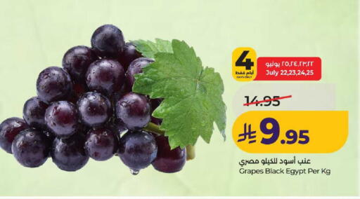 Grapes from Egypt available at لولو هايبرماركت in مملكة العربية السعودية, السعودية, سعودية - عنيزة