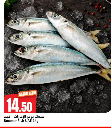 available at دانة هايبرماركت in قطر - الخور