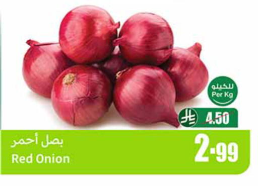 Onion available at أسواق عبد الله العثيم in مملكة العربية السعودية, السعودية, سعودية - المدينة المنورة