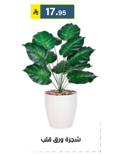 available at الحسين توب أب in مملكة العربية السعودية, السعودية, سعودية - الرياض