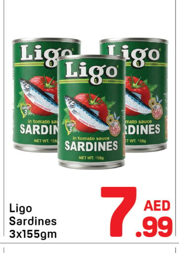 Tomato available at Day to Day Department Store in UAE - Dubai