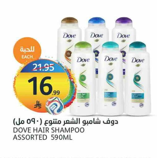 available at أسواق الجزيرة in مملكة العربية السعودية, السعودية, سعودية - الرياض