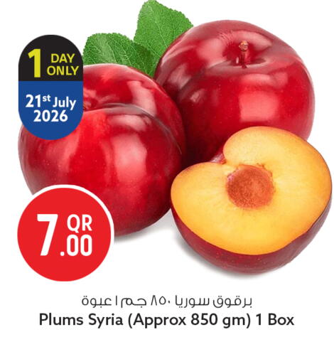Plums from Syria available at سفاري هايبر ماركت in قطر - الوكرة