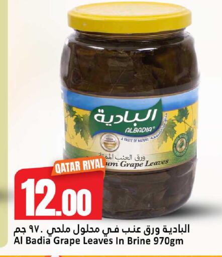 available at دانة هايبرماركت in قطر - الضعاين