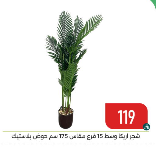 available at تخفيضات العائلة in مملكة العربية السعودية, السعودية, سعودية - المنطقة الشرقية