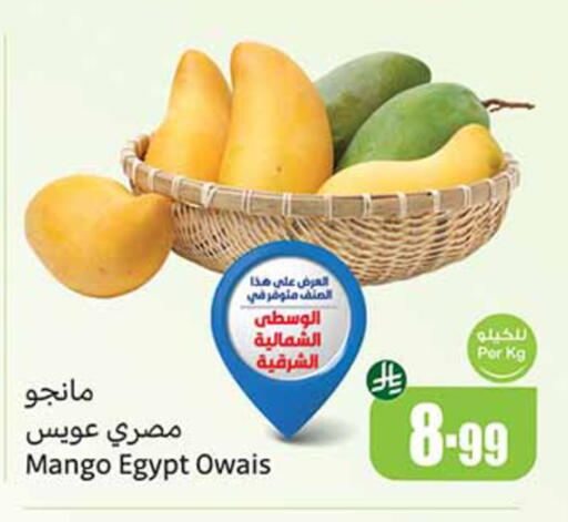 Mango from Egypt available at أسواق عبد الله العثيم in مملكة العربية السعودية, السعودية, سعودية - الخرج