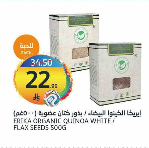 available at أسواق الجزيرة in مملكة العربية السعودية, السعودية, سعودية - الرياض