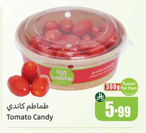 Tomato available at Othaim Markets in KSA, Saudi Arabia, Saudi - Al-Kharj