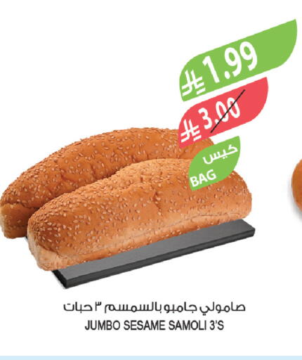 Sesame available at Farm  in KSA, Saudi Arabia, Saudi - Al-Kharj