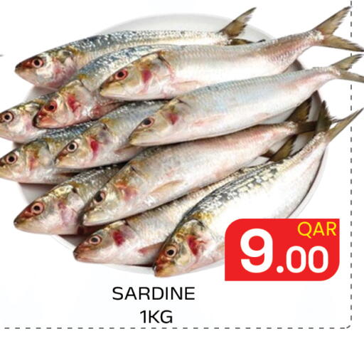 available at مجلس هايبرماركت in قطر - الريان