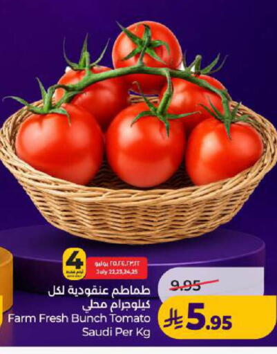 Tomato from Saudi Arabia available at لولو هايبرماركت in مملكة العربية السعودية, السعودية, سعودية - الخبر‎