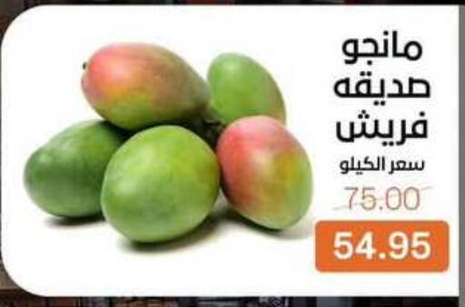 available at Beit El Gomla in Egypt - Cairo