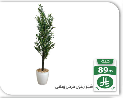 available at تخفيضات العائلة in مملكة العربية السعودية, السعودية, سعودية - الرياض
