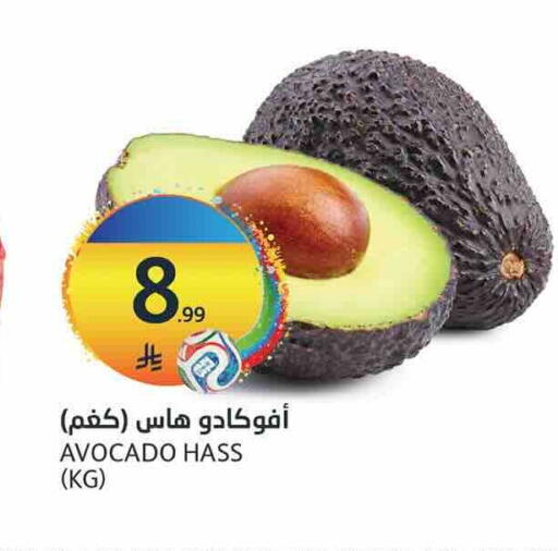 Avocado available at أسواق الجزيرة in مملكة العربية السعودية, السعودية, سعودية - الرياض