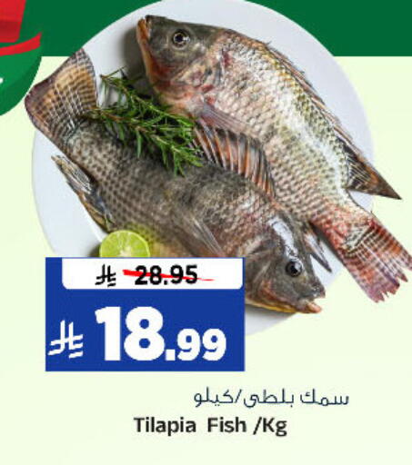 available at المدينة هايبرماركت in مملكة العربية السعودية, السعودية, سعودية - الرياض