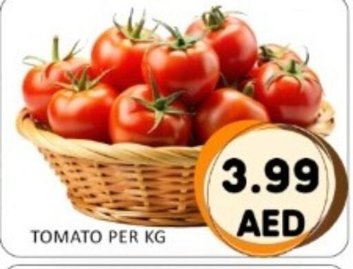 Tomato available at GREEN GIFT DEPARTMENT STORE in UAE - Abu Dhabi