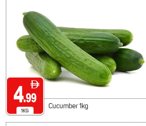 Cucumber available at سوق طلال in الإمارات العربية المتحدة , الامارات - دبي