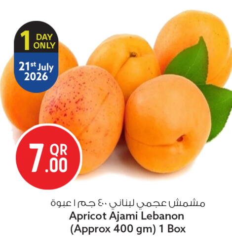 Apricot from Lebanon available at سفاري هايبر ماركت in قطر - الوكرة