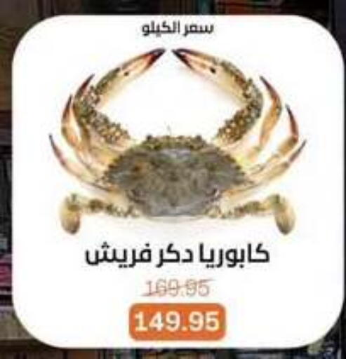 available at Beit El Gomla in Egypt - Cairo