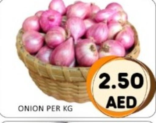 Onion available at GREEN GIFT DEPARTMENT STORE in UAE - Abu Dhabi