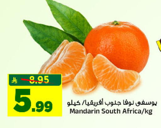 Mandarin from South Africa available at المدينة هايبرماركت in مملكة العربية السعودية, السعودية, سعودية - الرياض