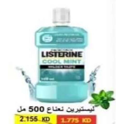 Mint available at جمعية الرقة التعاونية in الكويت - مدينة الكويت
