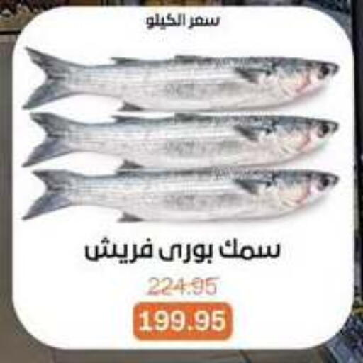 available at Beit El Gomla in Egypt - Cairo